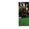 The book "Palm Springs Modern Dogs at Home" by Schiffer Publishing, Ltd. features a stylish pink house with palm trees and a relaxed dog, perfect for fans of classic midcentury modern Palm Springs homes and dog photography.