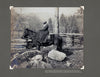 Inspired by "Frances L. Goodrich's Brown Book of Weaving Drafts" from Schiffer Publishing, Ltd., a woman in a hat and long skirt rides side-saddle on a dark horse before a rustic fence, rocks, trees, and distant mountains.