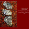 Three broken gravestones rest among pine needles, evoking classic cemeteries. On the right, a poem on loss appears in white text on dark red. "Final Thoughts" by Schiffer Publishing, Ltd. captures a somber, reflective mood reminiscent of cemetery art.