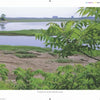 The North Shore Wide by Schiffer Publishing, Ltd. showcases a marshy wetland with calm water, grassy patches, and lush foliage in the foreground, while distant trees and buildings rest under a clear sky.