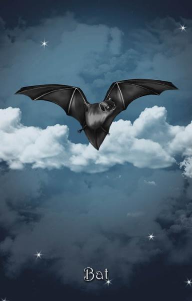 A black bat with outstretched wings soars above white clouds and stars, channeling the mystical vibe of oracle cards from The Witch's Oracle, 2nd Edition by Schiffer Publishing, Ltd. "Bat" appears at the image's bottom.
