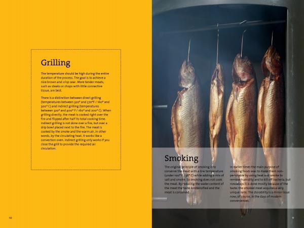 Four whole fish hang in a smoker with visible smoke. The left side displays grilling tips on yellow, while the right shares beginner smoking advice and recipe ideas from The Little Smoker Book by Schiffer Publishing, Ltd.
