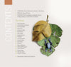 The table of contents in "Reptiles & Amphibians in Contemporary Art" by Schiffer Publishing, Ltd. features a large leaf with a blue poison dart frog partially hidden beneath it, contents on the left, and artist names on the right.