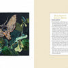A spread from Schiffer Publishing, Ltd.’s "Inspired by Endangered Species" shows a detailed moth illustration on green foliage beside text on “Blackburn’s Sphinx Moth,” sharing facts about this endangered species and its conservation.