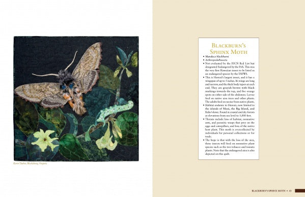 A spread from Schiffer Publishing, Ltd.’s "Inspired by Endangered Species" shows a detailed moth illustration on green foliage beside text on “Blackburn’s Sphinx Moth,” sharing facts about this endangered species and its conservation.