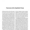 The Collectors' Guide to the Amphibole Group by Schiffer Publishing, Ltd. presents detailed text and crystal images on amphibole mineral classification and properties—perfect for mineral collectors.