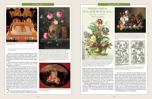 Two pages from "The Graphic Flower" by Schiffer Publishing, Ltd. show text and images of floral art, such as vibrant paintings of daisies and roses, a vintage botanical print, and an ornate flower arrangement, with captions and headings at the top.