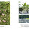 A spread from "Choptank Odyssey" by Schiffer Publishing, Ltd. features photos of pink wildflowers, moss-draped trees, the misty Choptank River, and a yellow iris, each accompanied by natural history details.