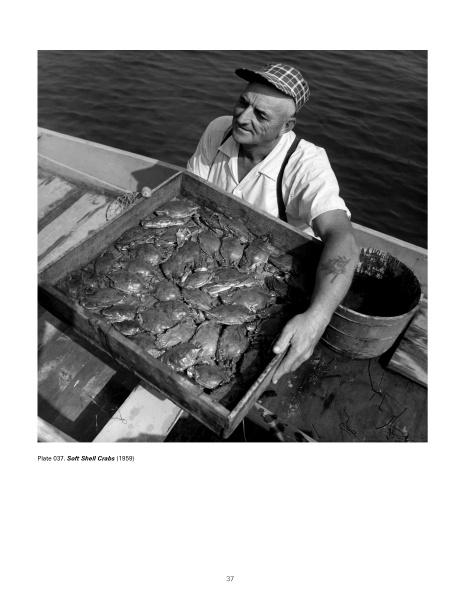A scene from Bodine's Industry by Schiffer Publishing, Ltd. shows a man in a cap and striped shirt on a boat, holding a tray of soft shell crabs over a bucket with water in the background—a classic American image.