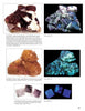 A page from Schiffer Publishing's "Collecting Fluorescent Minerals" displays six photos of fluorite in various colors and forms, including purple, amber, and blue clusters, some glowing under UV light—ideal for any mineral field guide.