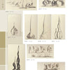 A catalog page for Schiffer Publishing, Ltd.'s "Harry Bertoia Monoprints" shows nine abstract, vase-like pencil sketches in a clean grid, each labeled with item number and size, capturing Bertoia’s signature organic style.