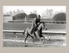 A jockey rides a galloping horse on a dirt track, framed by railings and blurred trees. This black and white photo, reminiscent of Arthur Frank's style, is from "Horse Racing" by Schiffer Publishing, Ltd.