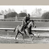 A jockey rides a galloping horse on a dirt track, framed by railings and blurred trees. This black and white photo, reminiscent of Arthur Frank's style, is from "Horse Racing" by Schiffer Publishing, Ltd.