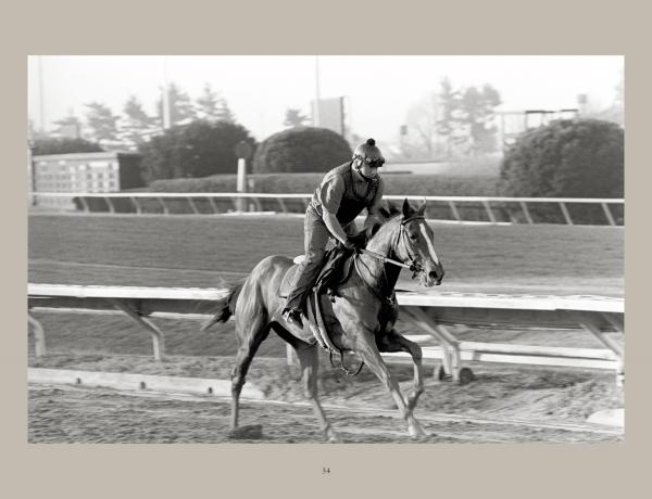 A jockey rides a galloping horse on a dirt track, framed by railings and blurred trees. This black and white photo, reminiscent of Arthur Frank's style, is from "Horse Racing" by Schiffer Publishing, Ltd.