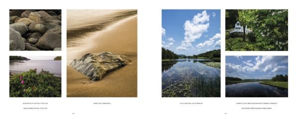 A two-page spread from Embracing Light by Schiffer Publishing, Ltd. showcases Acadia National Park: rocky shores, a sandy beach with a rock, lily-pad lakes, blooming flowers, clouds in blue sky, and a white house on Mount Desert Island.