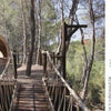 A wooden, oval treehouse by Blue Forest with a rope bridge nestles among tall pines. To the right, a black-and-white line drawing illustrates enchanting retreats from "Tree Houses Reimagined" by Schiffer Publishing, Ltd.