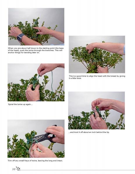 Five instructional images from Schiffer Publishing, Ltd.'s "Basic Topiary" show hands using twine and scissors to shape a leafy plant, with text instructions for each step—ideal for beginners learning topiary art.