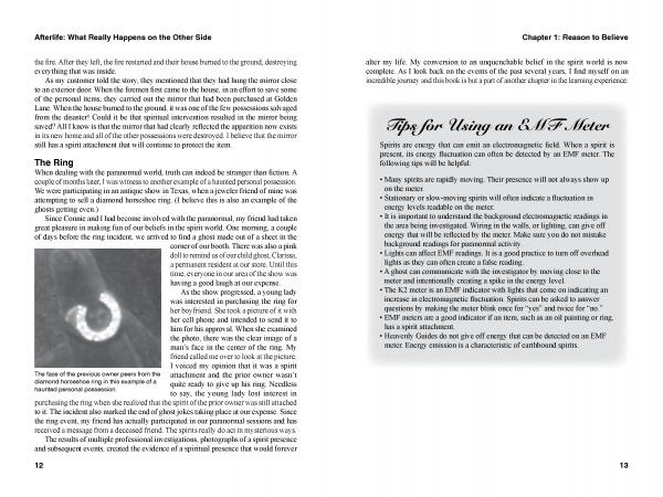 In "Afterlife: What Really Happens on the Other Side" by Schiffer Publishing, Ltd., a two-page spread covers afterlife experiences, with one page showing a grayscale ring image and the other presenting E.M.F. meter tips in a highlighted box.