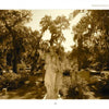 A sepia-toned photo from "Savannah Cemeteries" by Schiffer Publishing, Ltd. shows a large angel statue with one arm raised amid gravestones and moss-draped trees in famed Bonaventure Cemetery.