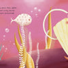 Little Shell and Jittery Jellyfish" by Schiffer Publishing, Ltd. features an illustrated underwater world with a worried shell, pufferfish, jellyfish, and a character in a diving helmet—ideal for a friendship story.