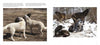 Wolf Sanctuary by Schiffer Publishing, Ltd. features two pages: one with two white wolves nuzzling in grass, the other with five black and white wolves resting and standing on a snowy, rocky landscape.