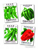 Seed Art by Schiffer Publishing, Ltd. displays four vintage seed packets with classic illustrations of green peas, green bell pepper, and red bell pepper, ornate variety names, and prices shown on two of the packets.