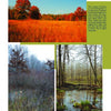 Three photos from Schiffer Publishing, Ltd.’s "The Great Swamp" capture New Jersey: a fall meadow with vibrant trees, a wetland with leafless trees and brown grasses, and the Great Swamp National Wildlife Refuge in early spring.