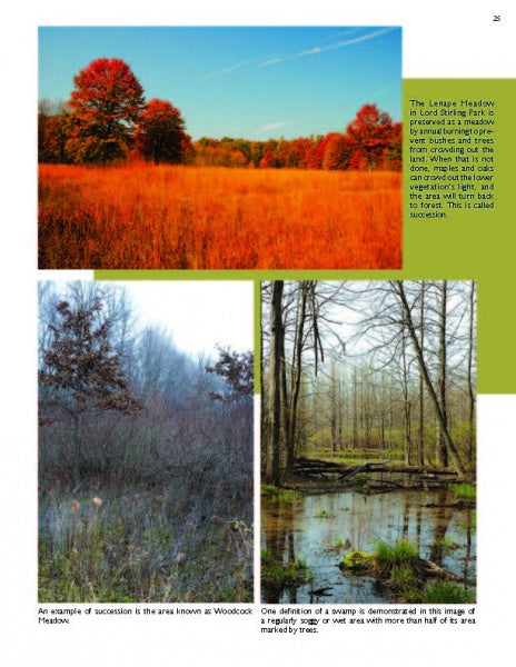 Three photos from Schiffer Publishing, Ltd.’s "The Great Swamp" capture New Jersey: a fall meadow with vibrant trees, a wetland with leafless trees and brown grasses, and the Great Swamp National Wildlife Refuge in early spring.