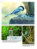 A collage from "The Great Swamp" by Schiffer Publishing, Ltd. shows a Black-capped Chickadee with seeds, an American Robin on a post, and a Gray Catbird in foliage, all photographed at New Jersey's Great Swamp National Wildlife Refuge.