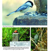 A collage from "The Great Swamp" by Schiffer Publishing, Ltd. shows a Black-capped Chickadee with seeds, an American Robin on a post, and a Gray Catbird in foliage, all photographed at New Jersey's Great Swamp National Wildlife Refuge.