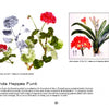 Two botanical illustrations—geraniums and orchids—appear side by side. Text about Botanical Art and artist Linda Heppes Funk appears below. From Today’s Botanical Artists by Schiffer Publishing, Ltd.