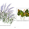 Watercolor illustrations of plants—tall green grasses with purple tops and broad leaves with yellow flowers—are featured in "Today's Botanical Artists" by Schiffer Publishing, Ltd., showcasing contemporary botanical art.