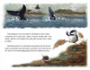 The cover of "Chickadee & The Whale" by Schiffer Publishing, Ltd. features two whale tails splashing near a lighthouse as a chickadee watches from shore—ideal for wildlife education or early readers ages 5–8. Text appears below the illustration.