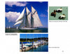 Harbors of Cape Cod & the Islands by Schiffer Publishing, Ltd. captures sailboats gliding through tranquil Cape Cod harbors—ideal for Cape Cod photography enthusiasts.