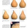 Schiffer Publishing, Ltd.'s "Chip-Carving Gourds" offers a step-by-step photo guide for beginners, showing how to draw guidelines, mark triangles, and chip-carve geometric patterns on gourds.