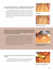 Chip-Carving Gourds by Schiffer Publishing, Ltd. is a how-to guide with step-by-step photos for repairing chips, using masking tape for compass points, and polishing carved gourds, featuring close-ups of surfaces and hands at work.