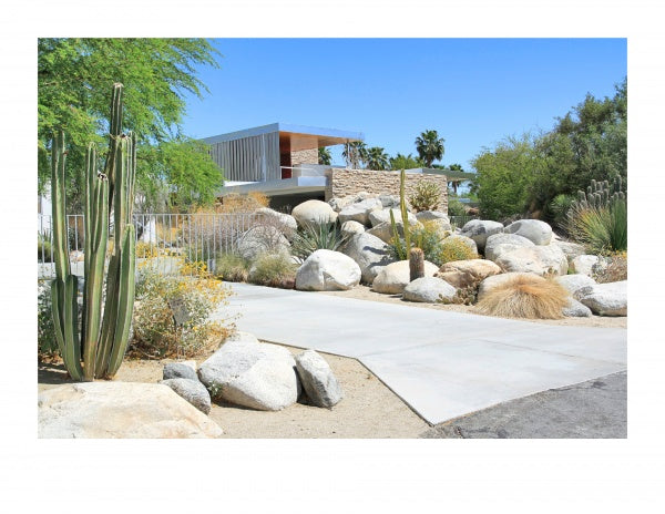 Palm Springs Mid-century Modern by Schiffer Publishing, Ltd. features a stylish home with large windows set behind desert cacti, rocks, and dry grasses beneath a clear sky, complete with a concrete driveway and classic mid-century modern design.