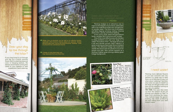 A magazine spread features tips from Petscaping by Schiffer Publishing, Ltd., with text and photos of a backyard lawn, white roses by a fence, a potted tree on a patio, a plant close-up, and a sketch of a hanging planter.