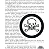 A page from "Haunted Wyoming" by Schiffer Publishing, Ltd. shows two black-and-white illustrations—a skull and crossbones, and a stop sign—alongside tales of gunfights, outlaws, mining, and hauntings from Haystlville to South Pass City. Page 118.
