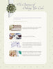 The Art of the Wedding Cake by Schiffer Publishing, Ltd. is a wedding guide with elegant fonts and jeweled ribbon, detailing cake ordering steps—consultation, sketches, tastings, and flower decoration photos—in a stylish infographic.