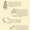 A page from "All the Garden's a Stage" by Schiffer Publishing, Ltd. displays hand-drawn diagrams and descriptions of bulbs, corms, tubers, and rhizomes on a parchment-like background for plant care inspiration.