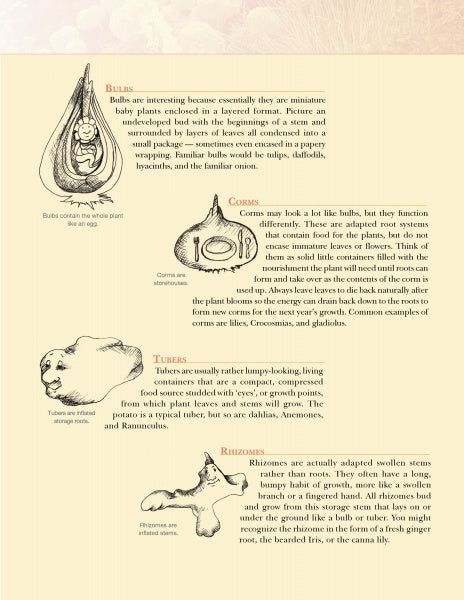 A page from "All the Garden's a Stage" by Schiffer Publishing, Ltd. displays hand-drawn diagrams and descriptions of bulbs, corms, tubers, and rhizomes on a parchment-like background for plant care inspiration.