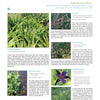A magazine page for Schiffer Publishing, Ltd.’s "All the Garden’s a Stage" features text, close-up photos of grasses, flowers, and leaves, plus plant care tips to inspire every gardener toward a sustainable landscape.