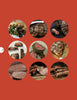 A grid of nine circular steak photos pops against a red background, highlighting grilled and sliced meats—an ideal image for fans of BBQ and the "Pure BBQ!" cookbook by Schiffer Publishing, Ltd.
