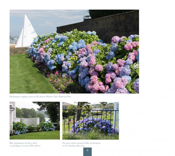 A vibrant row of Hydrangeas by Schiffer Publishing, Ltd. in blue, pink, and purple blooms along a lawn near a stone wall and white sailboat, with smaller images of hydrangea gardens by a deck and behind a black fence by the water.