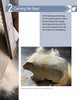A close-up shows a hand using carving techniques on a bear figure from Schiffer Publishing's "Carving a Bear in Soapstone." Wood shavings and dust are visible, with the partially carved bear resting on the surface below.