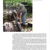An older man cuts a large tree trunk with a chainsaw, sunlight filtering through greenery. His focus echoes the artistry celebrated in Schiffer Publishing, Ltd.'s "Poplar Culture," where functional sculpture thrives within nature's embrace.