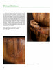 A magazine page features Schiffer Publishing, Ltd.’s product "Poplar Culture" by Michael Biddison, with close-up photos of his poplar wood art and text detailing the artist’s process, inspiration, and the texture of his sculptures.