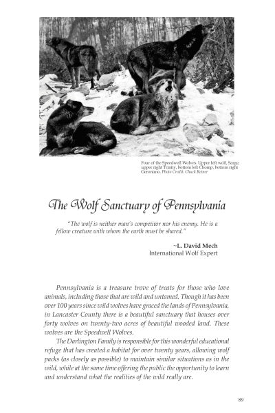 Black-and-white photo of four wolves resting in a wooded area. Below, text from Schiffer Publishing, Ltd.'s “Animals Impacting the World” shares the Wolf Sanctuary of Pennsylvania’s healing mission and a history of these remarkable companions.