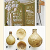 A collage from "Bone, Ivory, and Horn" by Schiffer Publishing, Ltd.: bunches of dried animal bladders, a sharp metal tool close-up, and four spherical and bowl-shaped dried bladders on a white background.